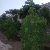 فروش زمین مسکونی
