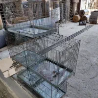 قفس سهره
