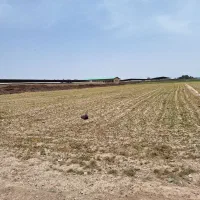 1هکتار-برابر10هزارمترزمین-شهرک-صنعتی-خیرابادورامین