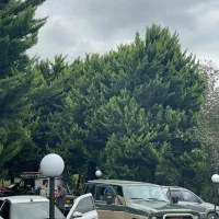 نیاز به یک سالن کار خانم برای مجموعه گردشگری