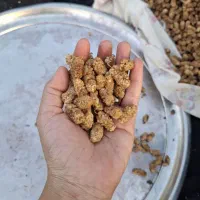 توت خشک اعلا