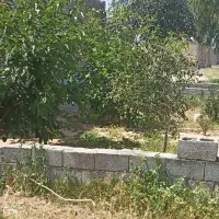 منزل کوی رسالت|فروش خانه و ویلا|اندیمشک, |دیوار