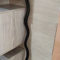 وسایل کاربردی و دکوری منزل رو با هم میفروشم