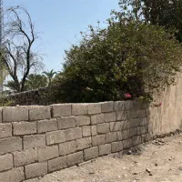 زمین مسکونی خیابان کشاورزی تک برگ