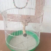 قفس پرنده