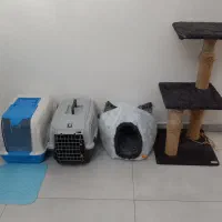 لونه و جای خواب گربه و سگ