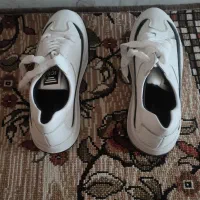 کفش نو|کیف، کفش، کمربند|قم, قم نو|دیوار