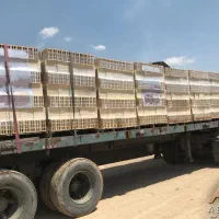 بلوک سفال آژند، بلوک سیمانی(پوکاژ).محصولات آژند