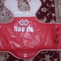 هوگو تکواندو