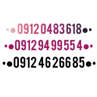 09129499554