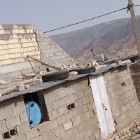 کبوتر