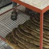 نیازمند شاطر یا خمیروچونه گیر بربری