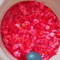 ترشی شور شوری صورتی