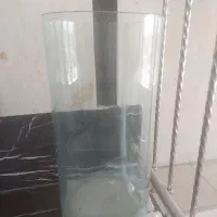 اکواریوم