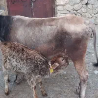 ۱۴۰۰۰۰۰