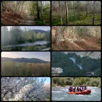 رهن-ویلاحاشیه-زاینده-رودروستای-دشتی-شهرستان-سامان