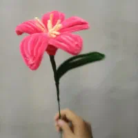 گل لیلیومی