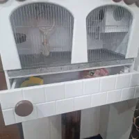 قفس چوبی برای عروس هلندی