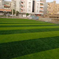 دنیای چمن اینجاست ،مدارس و کافه ها ،تالارها