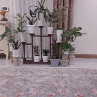 استند
