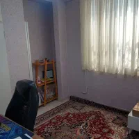 یک جفت فرش ۶ متری دستباف گونه