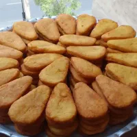 پخش کتلت و شامی کیان