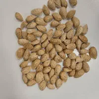 خریدوفروش انواع بادام