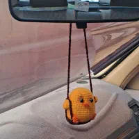جوجه های دست بافت