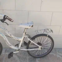 دوعدد دوچرخه