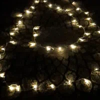 ریسه 10 متری 100 لامپ LED فقط ۲۸۰ هزارتومان