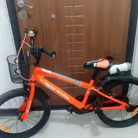دوچرخه 20 capriolo