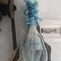 تور ماهی گیری ۶ متری
