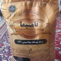 شادگان