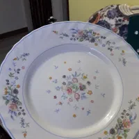 سرویس آرکوپال اصل فرانسه ۱۱۰ پارچه آکبندمناسب جهاز