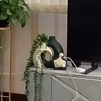 گلدان و مجسمه همدم