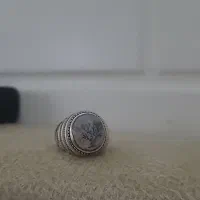 کلکسیونی شجر یمنی زیبا و تک درخت