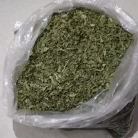 پونه