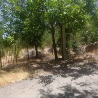 28قصب-زمین-باغی-در-درب-بهشت