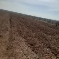 زمین-بحر-خیابان-اصلی-بامجوز-شهرداری-تجاری-مسکونی