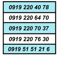 0919.211.31.61|سیمکارت|تهران, شیخ هادی|دیوار