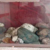 اکواریوم با سنگ