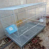 قفس قناری عروس هلندی لانه گرینچیک