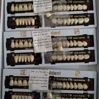 دندان مصنوعی. مدل پرزیدنت