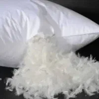بالشت پرمرغ