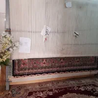 فرش ۶ متری ماهی نیمه کاره
