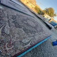قالیشویی آپادانا           شستشوی تخصصی و با کیفیت