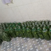 خوردنی