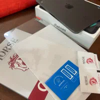 ipad 6 mini 64gig|تبلت|کرمان, |دیوار