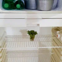 یخچال ۱۵ فوت موتور ژاپنی