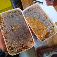 ع س ل مومدار و بدون موم